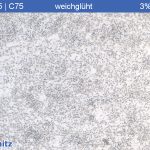 1.0605 | C75 weichgeglüht - 003