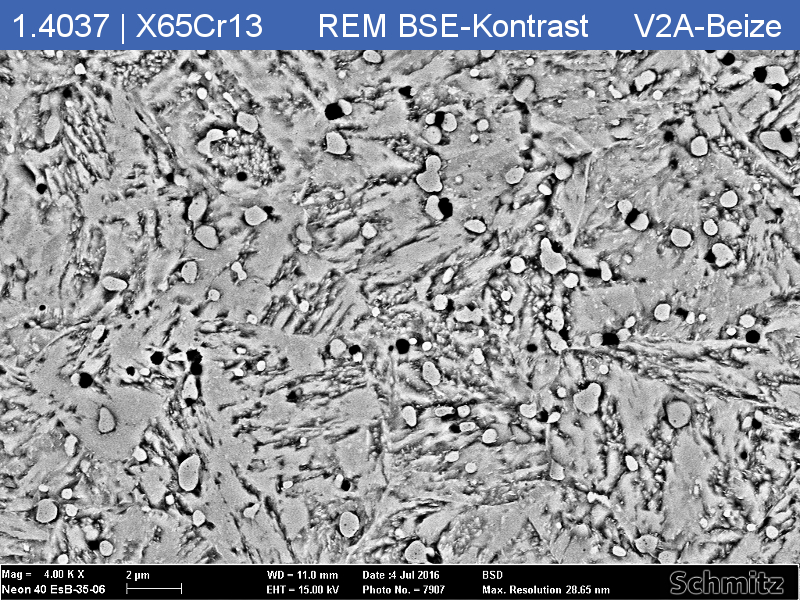 1.4037 | X65Cr13 +QT - 10