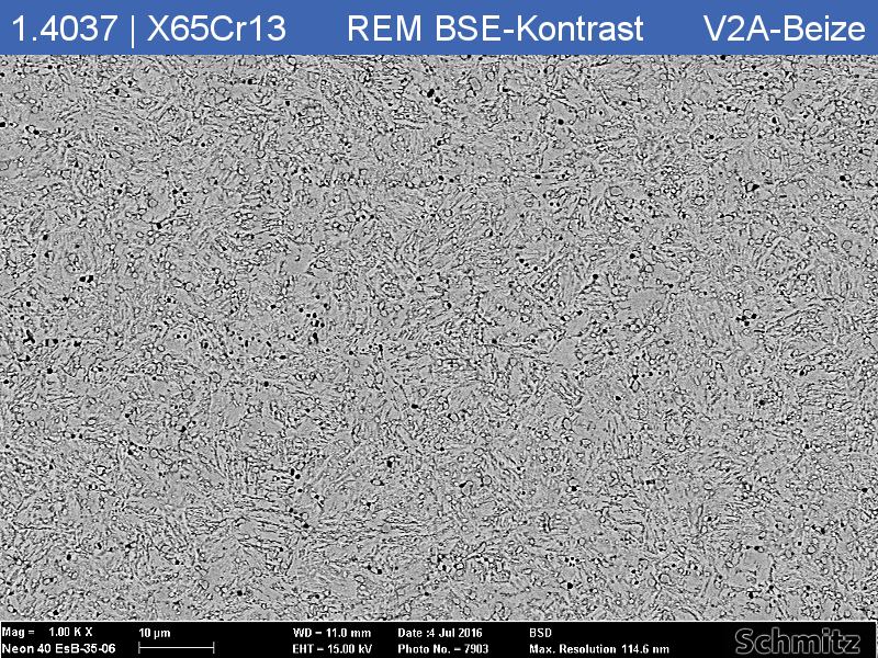 1.4037 | X65Cr13 +QT - 6