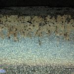Hochtemperaturkorrosion an einer Ofenklappe aus 1.4460 | X3CrNiMo27-5-2 | AISI 329 | S32900