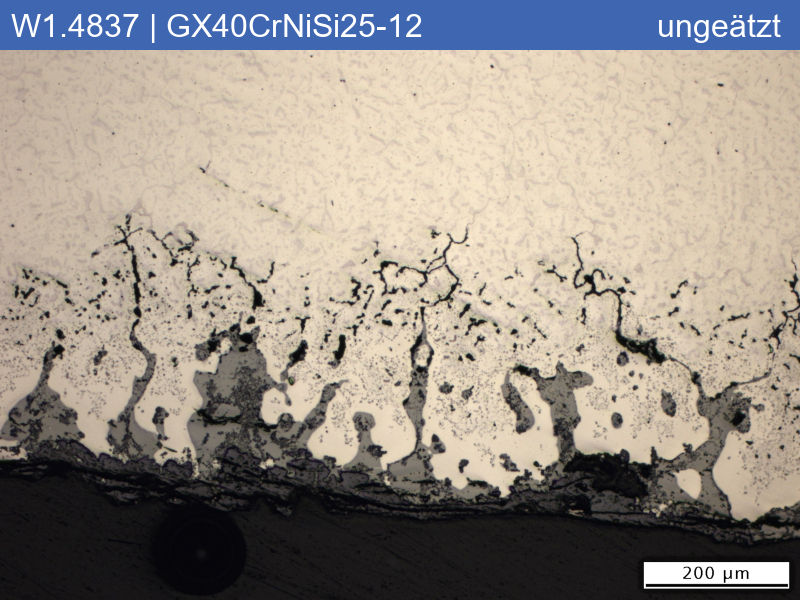 1.4837 | GX40CrNiSi25-12 Hot corrosion with molten sulfate - 01