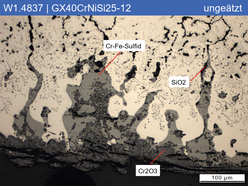 1.4837 | GX40CrNiSi25-12 Heißkorrosion mit Sulfatschmelze - 02