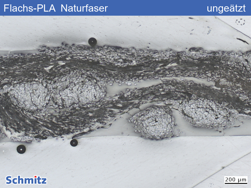 Flachs-PLA - 01