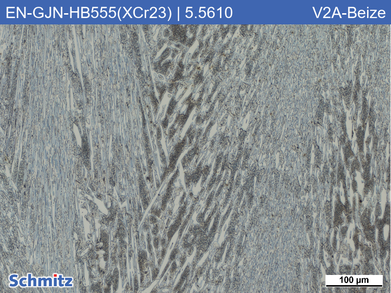 EN-GJN-HB555(XCr23) | 5.5610 Verschleißbeständiges weißes Gusseisen - 03