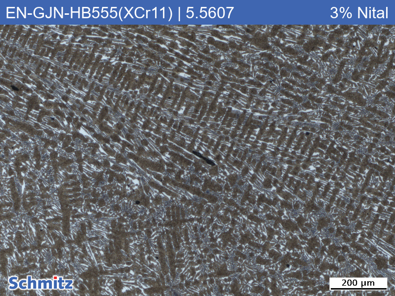 EN-GJN-HB555(XCr11) | 5.5607 Verschleißbeständiges weißes Gusseisen - 2