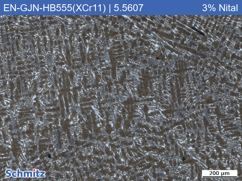EN-GJN-HB555(XCr11) | 5.5607 Verschleißbeständiges weißes Gusseisen - 3