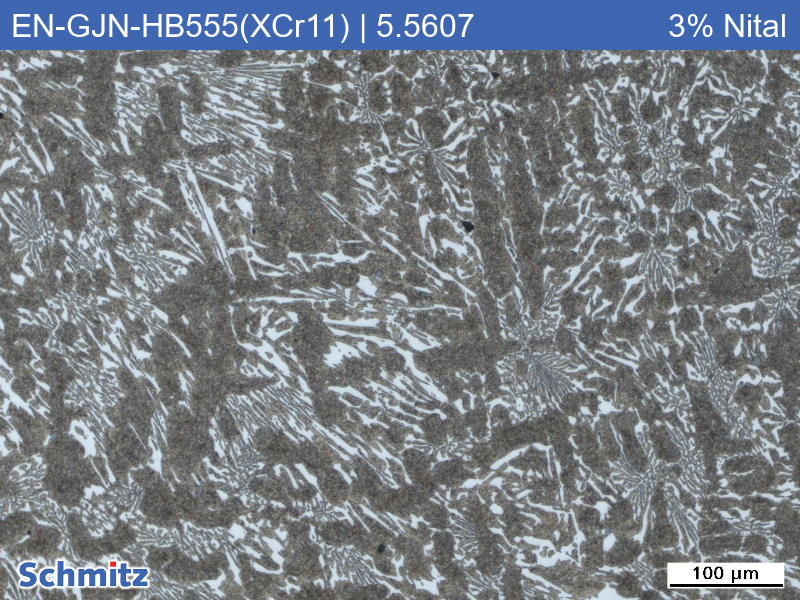 EN-GJN-HB555(XCr11) | 5.5607 Verschleißbeständiges weißes Gusseisen - 4