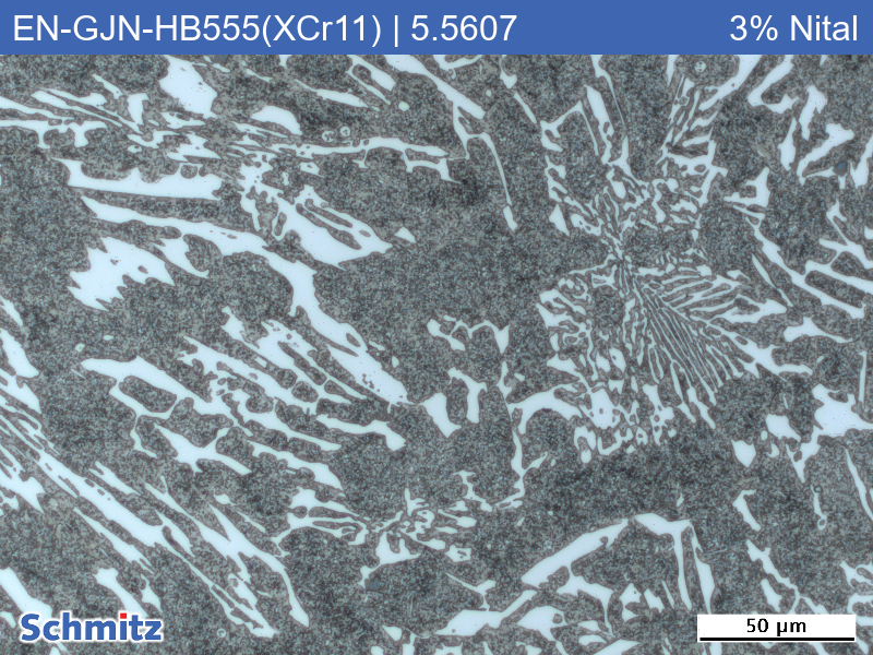 EN-GJN-HB555(XCr11) | 5.5607 Verschleißbeständiges weißes Gusseisen - 5