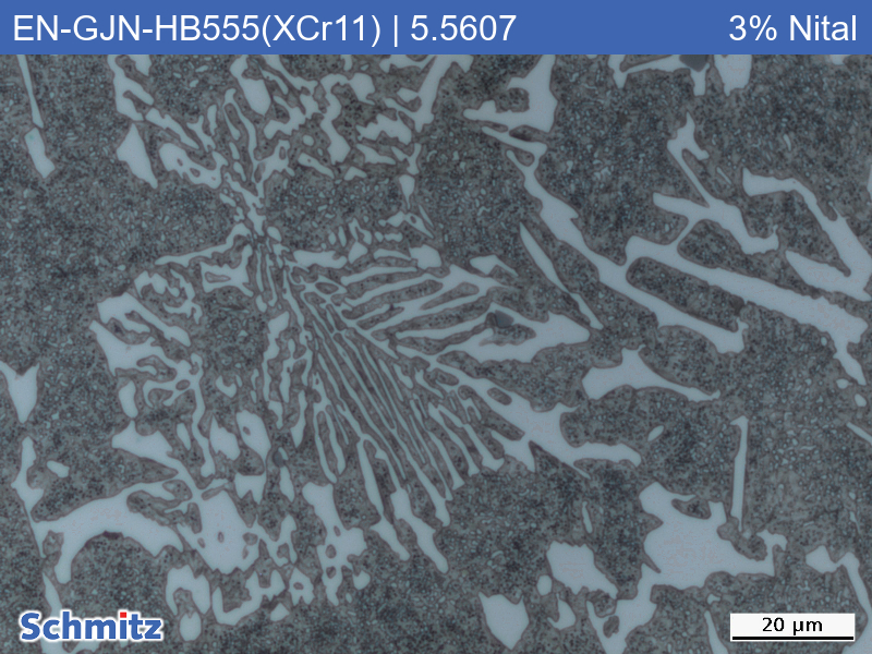 EN-GJN-HB555(XCr11) | 5.5607 Verschleißbeständiges weißes Gusseisen - 6