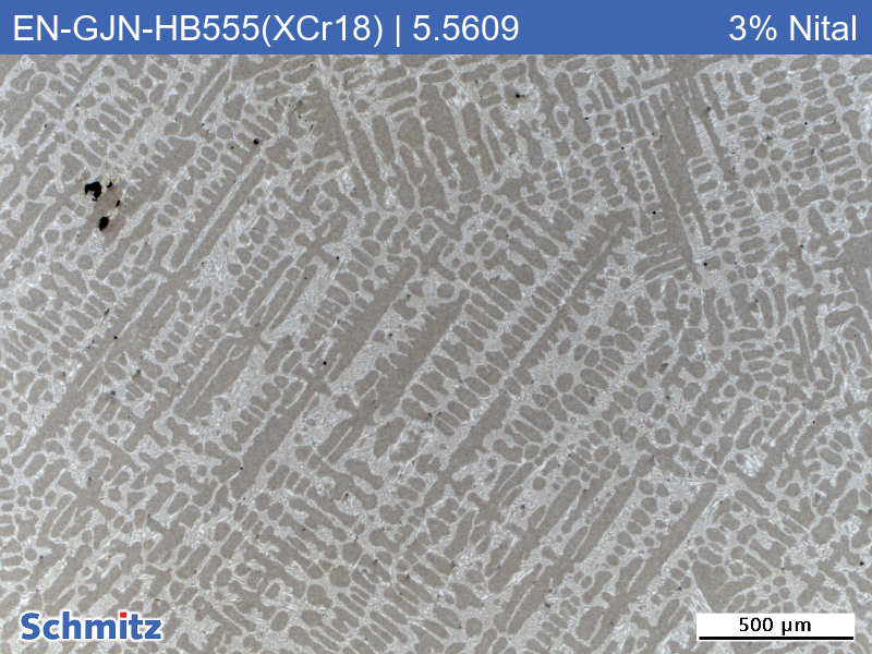 EN-GJN-HB555(XCr18) | 5.5609 Verschleißbeständiges weißes Gusseisen - 1
