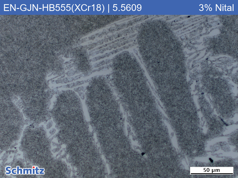 EN-GJN-HB555(XCr18) | 5.5609 Verschleißbeständiges weißes Gusseisen - 1