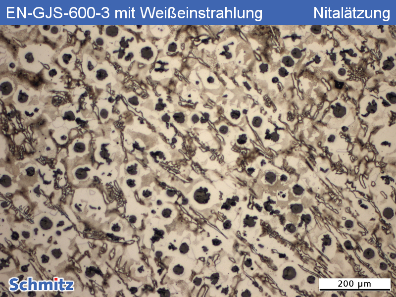 EN-GJS-600-3 | 5.3201 mit Weißeinstrahlung - 2