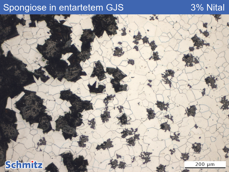 Spongiose (Korrosion) in entartetem Kugelgraphitguss - 03