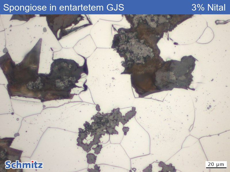 Graphite corrosion (spongiosis) in a degenerated nodular graphite iron - 05