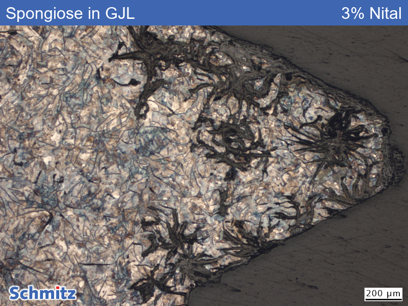Gaphite corrosion (spongiosis) lamellar gray cast iron - 02