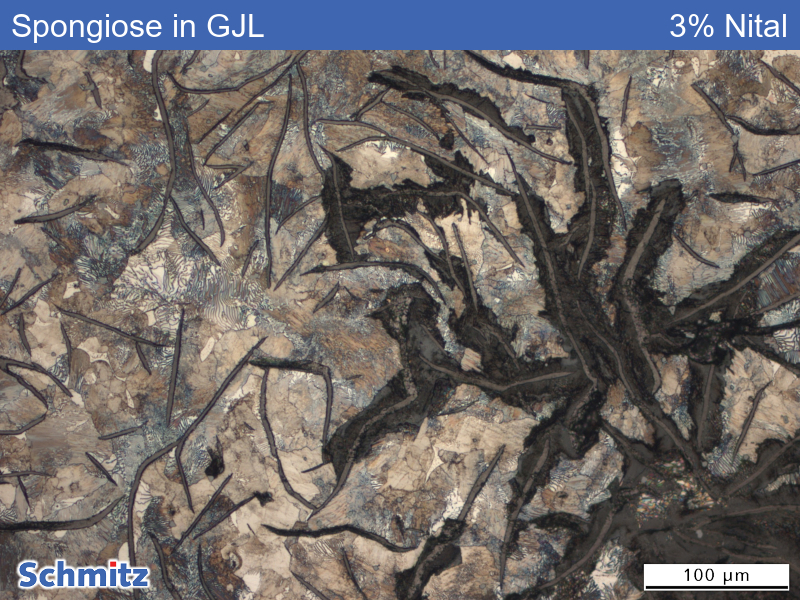 Spongiose (Korrosion) lamellarer Grauguss - 04