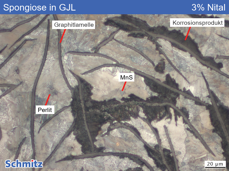 Spongiose (Korrosion) lamellarer Grauguss - 05