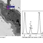 Slag analysis