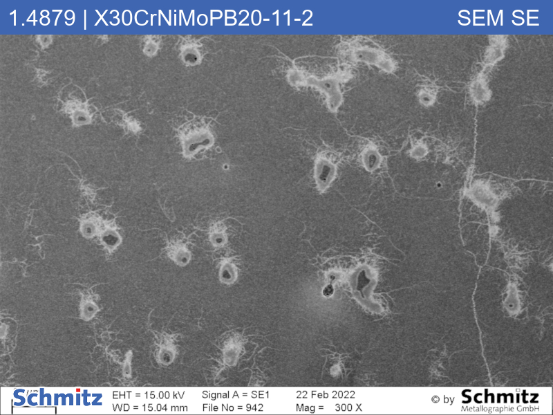 1.4879 | X30CrNiMoPB20-11-2 - 05