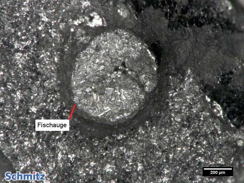 1.6759 | G18NiMoCr3-6 fisheye, hydrogen embrittlement - 3