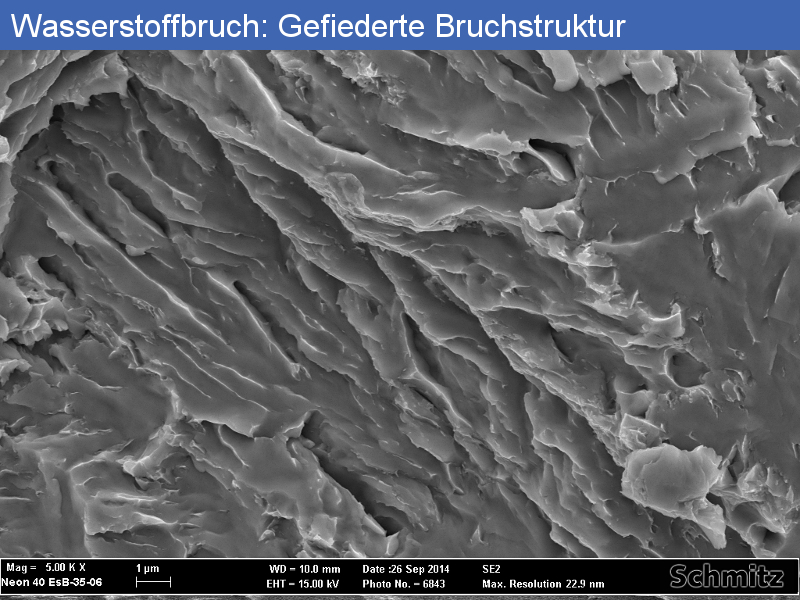 1.6759 | G18NiMoCr3-6 fisheye, hydrogen embrittlement - 6