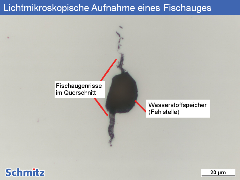 1.6759 | G18NiMoCr3-6 fisheye, hydrogen embrittlement - 9