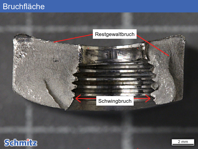 Schwingbruch einer Osteosyntheseplatte - 05