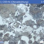 1.0535 | C55 +N Normalgeglüht bei 850 °C (Ofenabkühlung) - 07