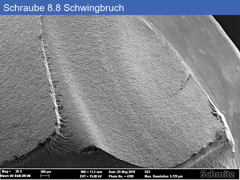 Schraube 8.8 mit Schwingbruch - 01