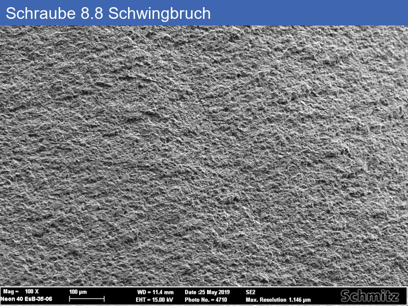 Schraube 8.8 mit Schwingbruch - 02