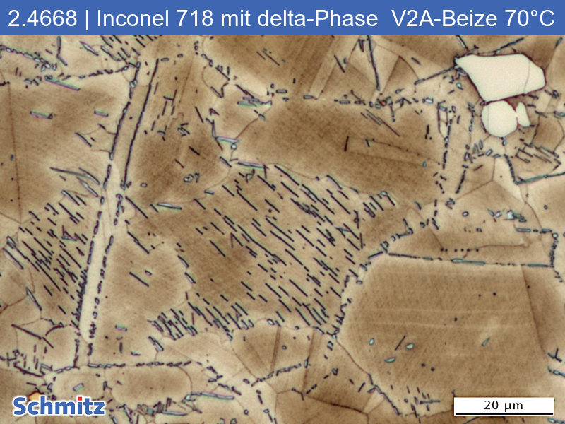 2.4668 | Inconel 718 mit delta-Phase - 04
