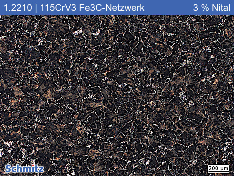 1.2210 | 115CrV3 Annealed on cementite network at 950 °C - 01