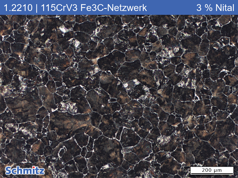 1.2210 | 115CrV3 Annealed on cementite network at 950 °C - 02
