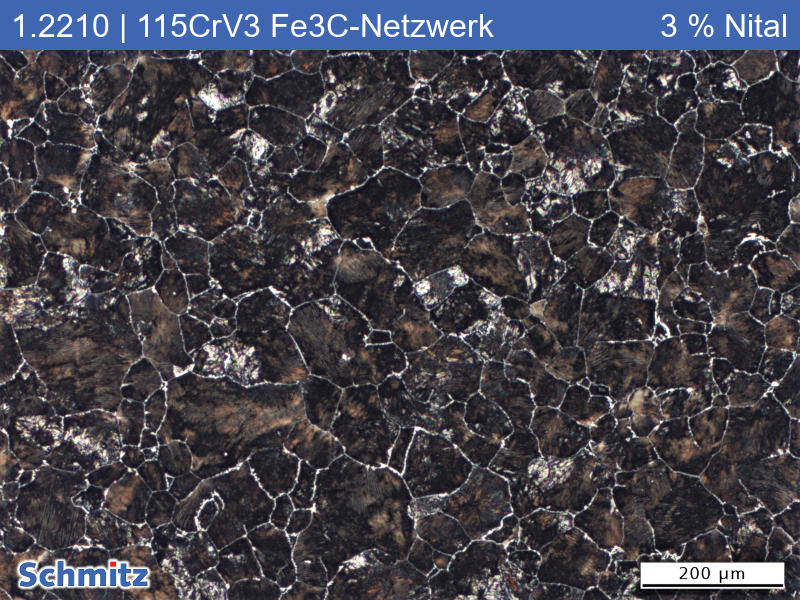 1.2210 | 115CrV3 Auf Zementitnetzwerk geglüht bei 950 °C - 02
