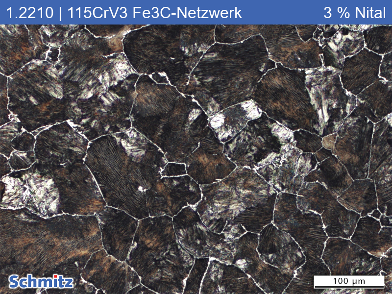1.2210 | 115CrV3 Annealed on cementite network at 950 °C - 03