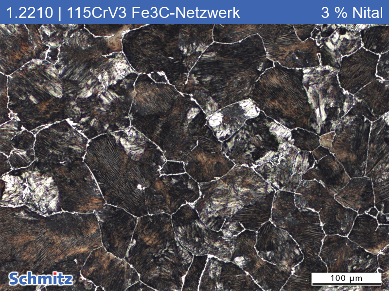 1.2210 | 115CrV3 Auf Zementitnetzwerk geglüht bei 950 °C - 03