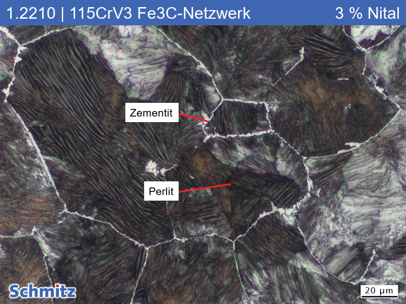 1.2210 | 115CrV3 Annealed on cementite network at 950 °C - 04
