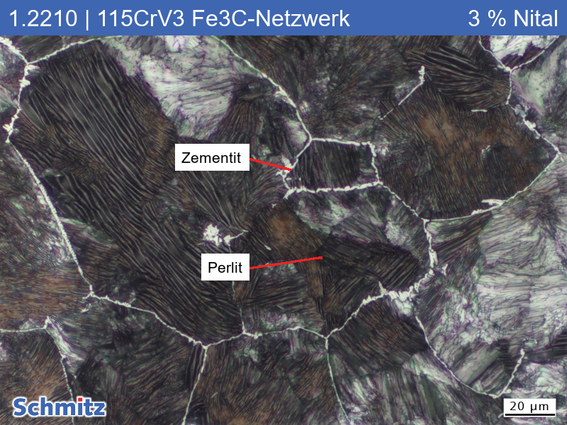 1.2210 | 115CrV3 Auf Zementitnetzwerk geglüht bei 950 °C - 04