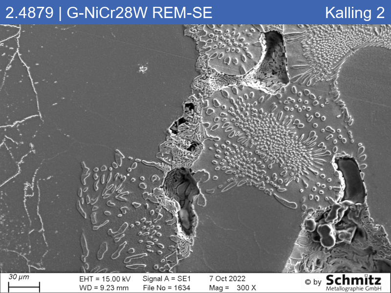 2.4879 | G-NiCr28W Ofenrolle - 06