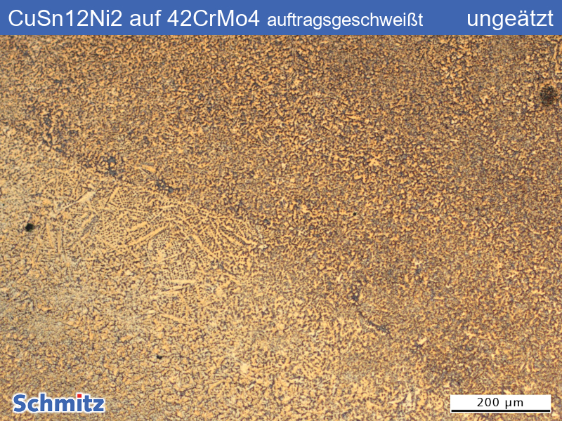 CC484K | CuSn12Ni2 L-PBF auf 1.7225 | 42CrMo4 - 01