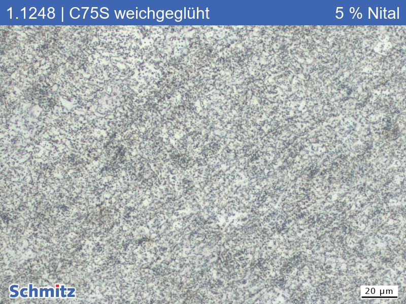 1.1248 | C75S weichgeglüht - 06