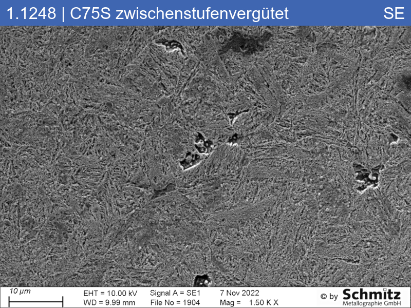 1.1248 | C75S +I isotherm hardened - 08