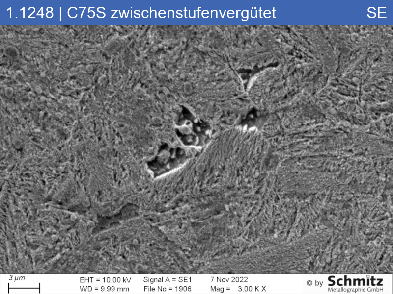 1.1248 | C75S +I isotherm hardened - 09