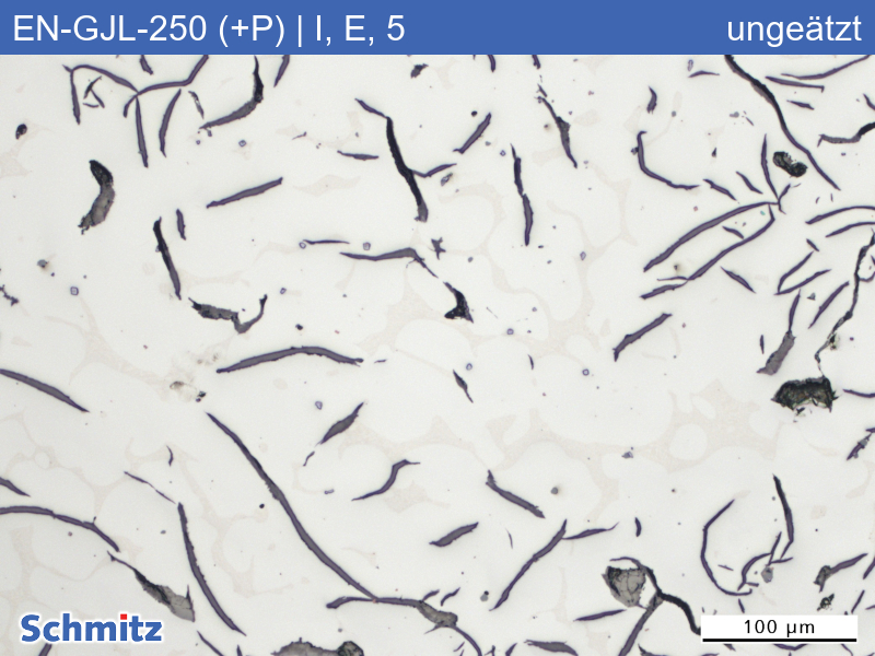 EN-GJL-250 (+P) | 5.1301 Erhöhter Phosphorgehalt, Graphitklassifizierung und Bruchaussehen im Zugversuch - 04