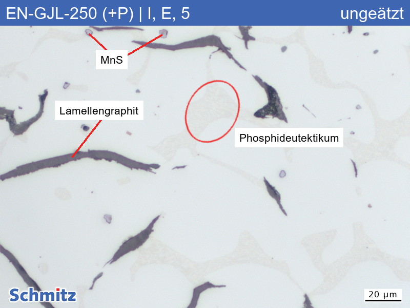 EN-GJL-250 (+P) | 5.1301 Erhöhter Phosphorgehalt, Graphitklassifizierung und Bruchaussehen im Zugversuch - 05