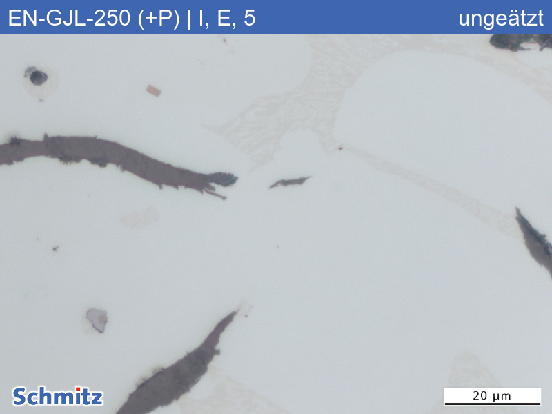 EN-GJL-250 (+P) | 5.1301 Erhöhter Phosphorgehalt, Graphitklassifizierung und Bruchaussehen im Zugversuch - 06