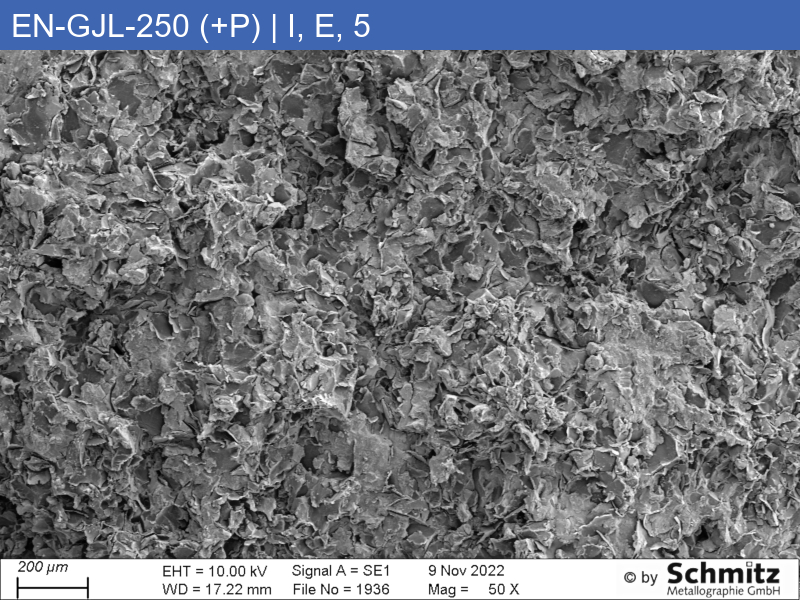 EN-GJL-250 (+P) | 5.1301 Erhöhter Phosphorgehalt, Graphitklassifizierung und Bruchaussehen im Zugversuch - 15