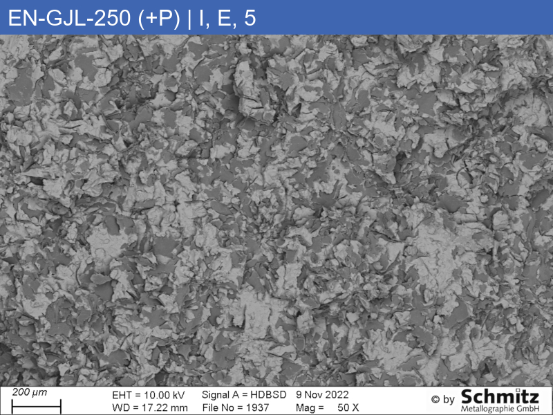 EN-GJL-250 (+P) | 5.1301 Increased phosphorus content, graphite classification and fracture appearance in tensile test - 16