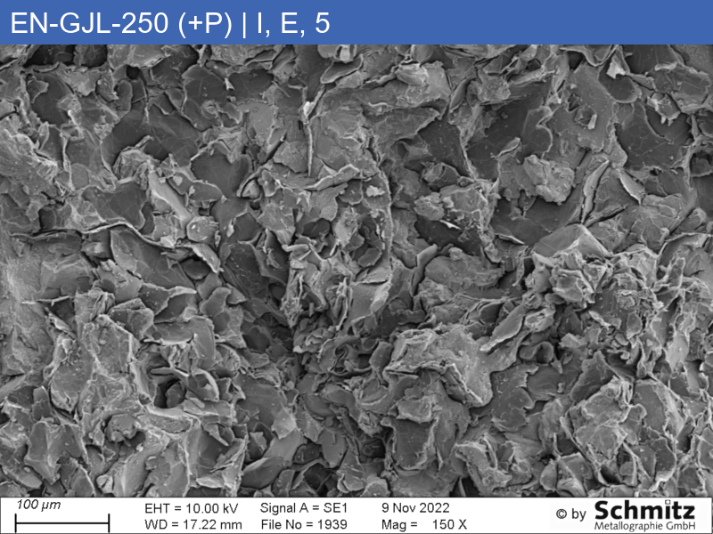 EN-GJL-250 (+P) | 5.1301 Erhöhter Phosphorgehalt, Graphitklassifizierung und Bruchaussehen im Zugversuch - 17