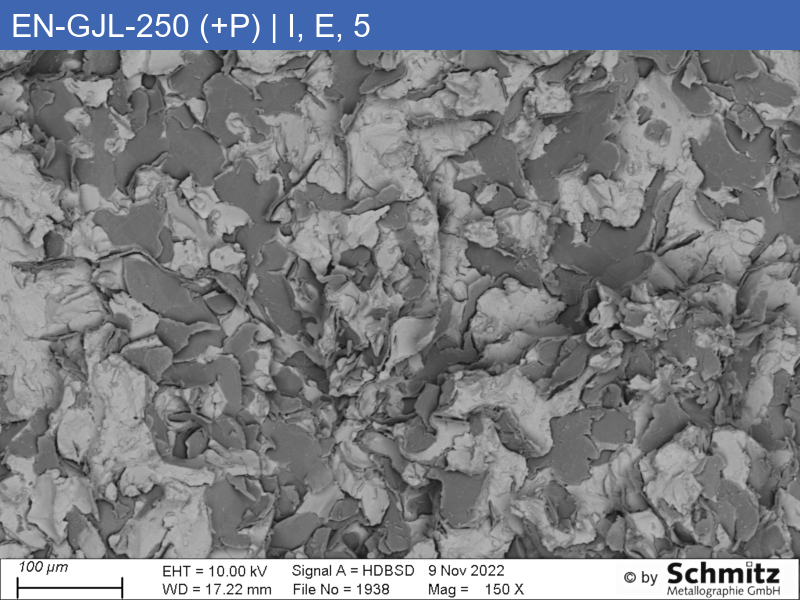 EN-GJL-250 (+P) | 5.1301 Erhöhter Phosphorgehalt, Graphitklassifizierung und Bruchaussehen im Zugversuch - 18